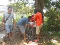 DSCN1256.JPG