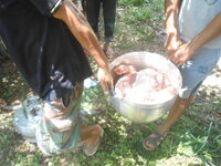DSCN1258.JPG