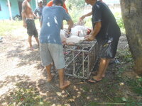 DSCN1259.JPG