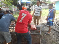 DSCN1264.JPG