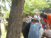 DSCN1267.JPG