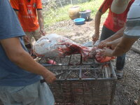 DSCN1268.JPG