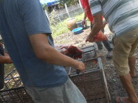 DSCN1269.JPG