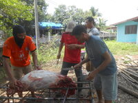 DSCN1270.JPG