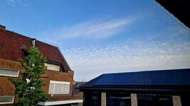 20260801_064842.jpg