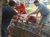 DSCN1272.JPG