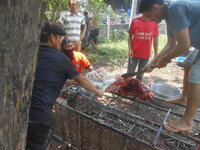 DSCN1275.JPG