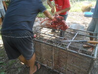 DSCN1276.JPG