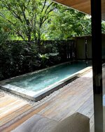 IMG_4682.jpeg