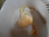 DSCN1255.JPG