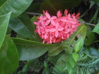 DSCN1647.JPG