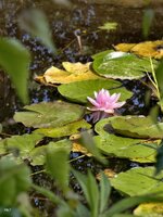 IMG_20260802_164239.jpg
