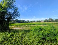 PXL_20260803_014216108~2.jpg