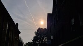 20260731_081103.jpg