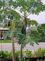 PXL_20260803_231317758~2.jpg