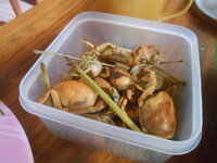 DSCN1316.JPG DSCN1316.JPG
