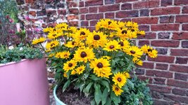 20260804_062812.jpg