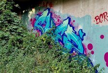 20260730_084816.jpg