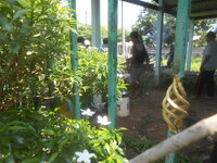 DSCN1320.JPG DSCN1320.JPG