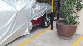 IMG_0487.jpeg