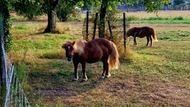 20260805_074118.jpg