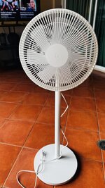 IMG_0508.jpeg
