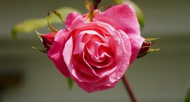 DSC06370.JPG
