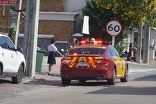 DSC01695.JPG