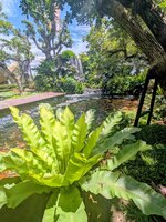 PXL_20260806_062344449~2.jpg