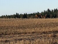 20260806_070316.jpg