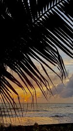 IMG_4958.jpeg