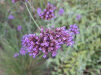 20260806_191918.jpg