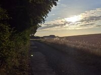 20260806_070340.jpg