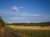IMG_20260806_195242.jpg