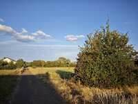 IMG_20260806_195609.jpg