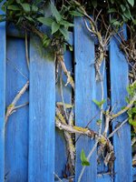 IMG_20260806_200845.jpg
