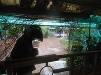 DSCN1522.JPG DSCN1522.JPG
