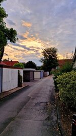 20260804_062723.jpg