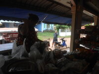 DSCN1501.JPG DSCN1501.JPG