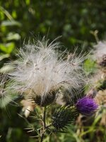 IMG_20260807_185904.jpg