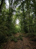 IMG_20260807_190544.jpg
