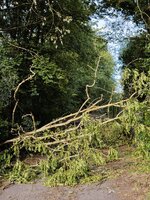 IMG_20260807_191855.jpg