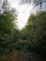 IMG_20260807_192029.jpg
