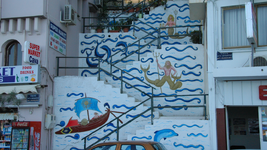 IMG_0565.png