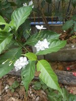 DSCN1686~2.JPG