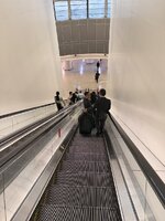 IMG_9120.jpeg