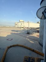IMG_9135.jpeg