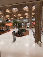 IMG_9149.jpeg