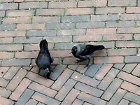 20260808_065223.jpg
