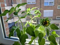 20260808_143545.jpg